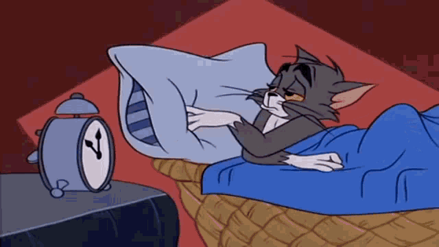 GIF Fun
